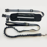 Hands Free Dog Running Leash